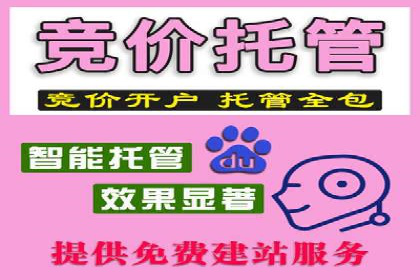 百度广告投放技巧：案例解析助力品牌增长